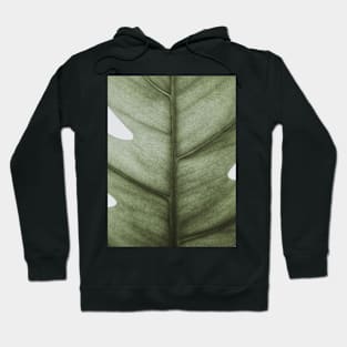 Plant, Leaf, Nature, Neutral, Landscape,Scandinavian art, Modern art, Wall art, Print, Minimalistic, Modern Hoodie